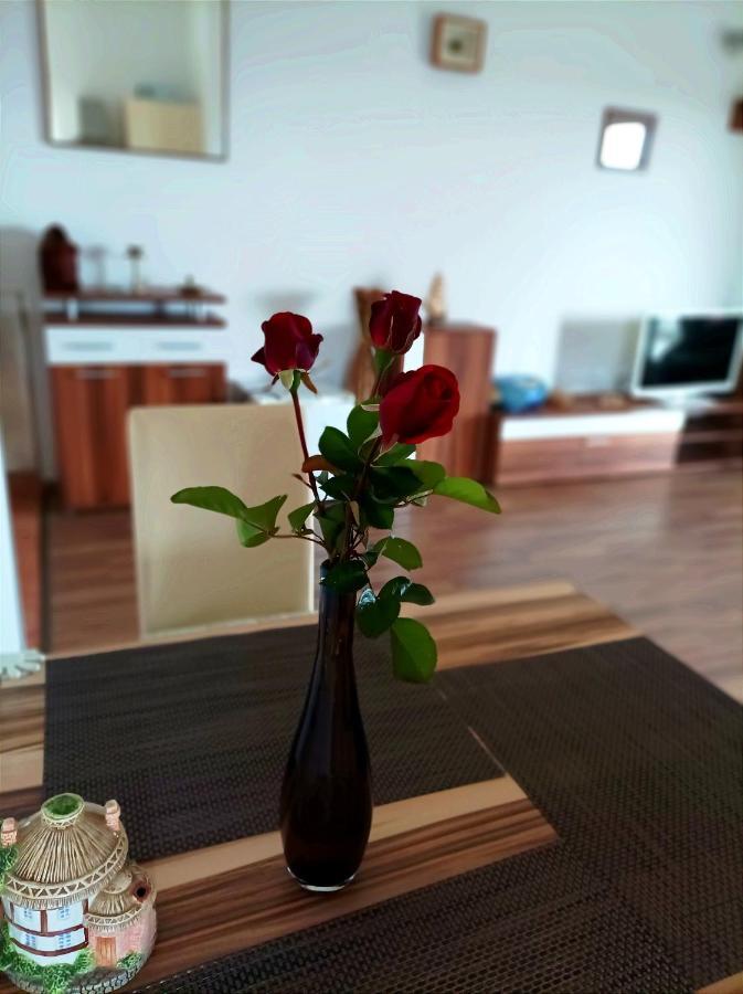 Apartments Kaic Рогач Екстер'єр фото